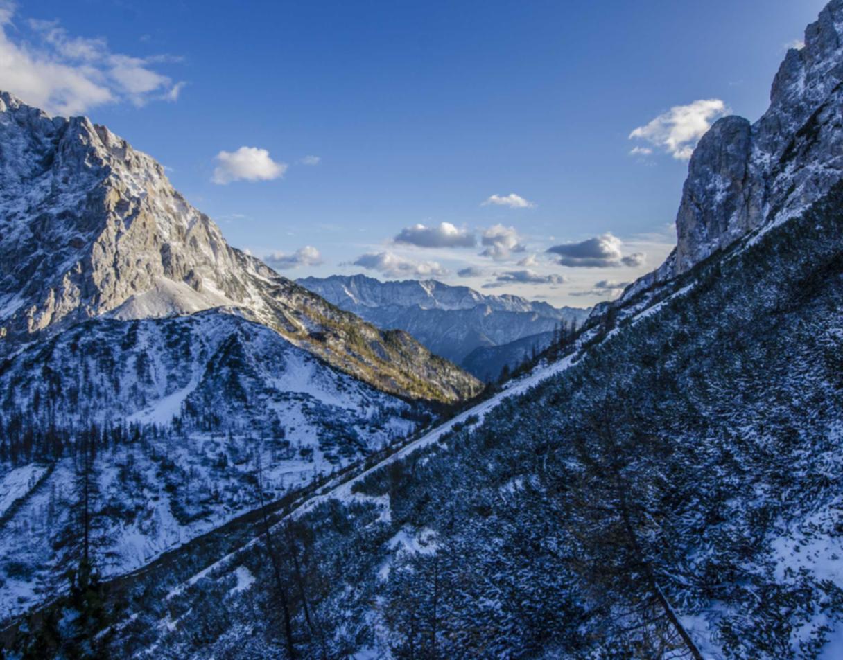 ORIS豪利时红酒双爆珠:公司注册代理垫资注册