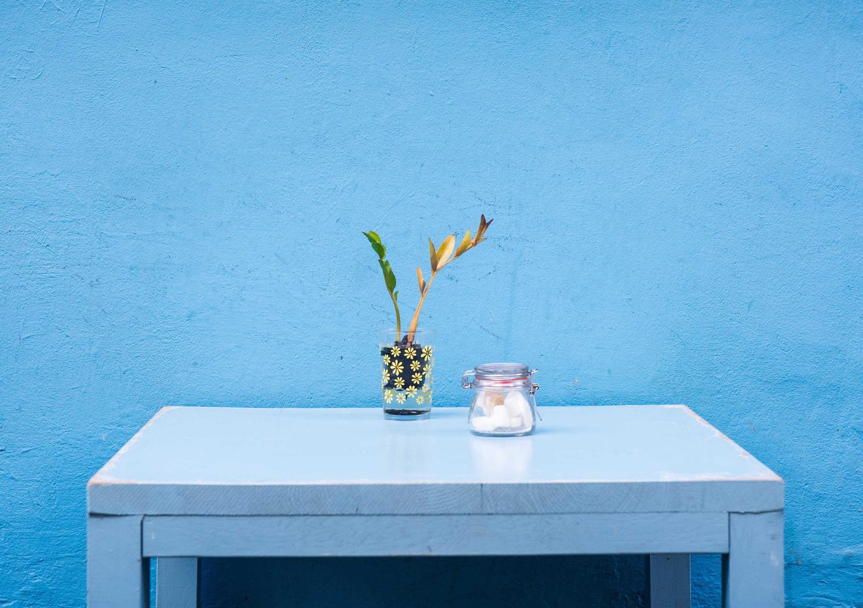 豆瓣实名账号:注册个代理记账公司