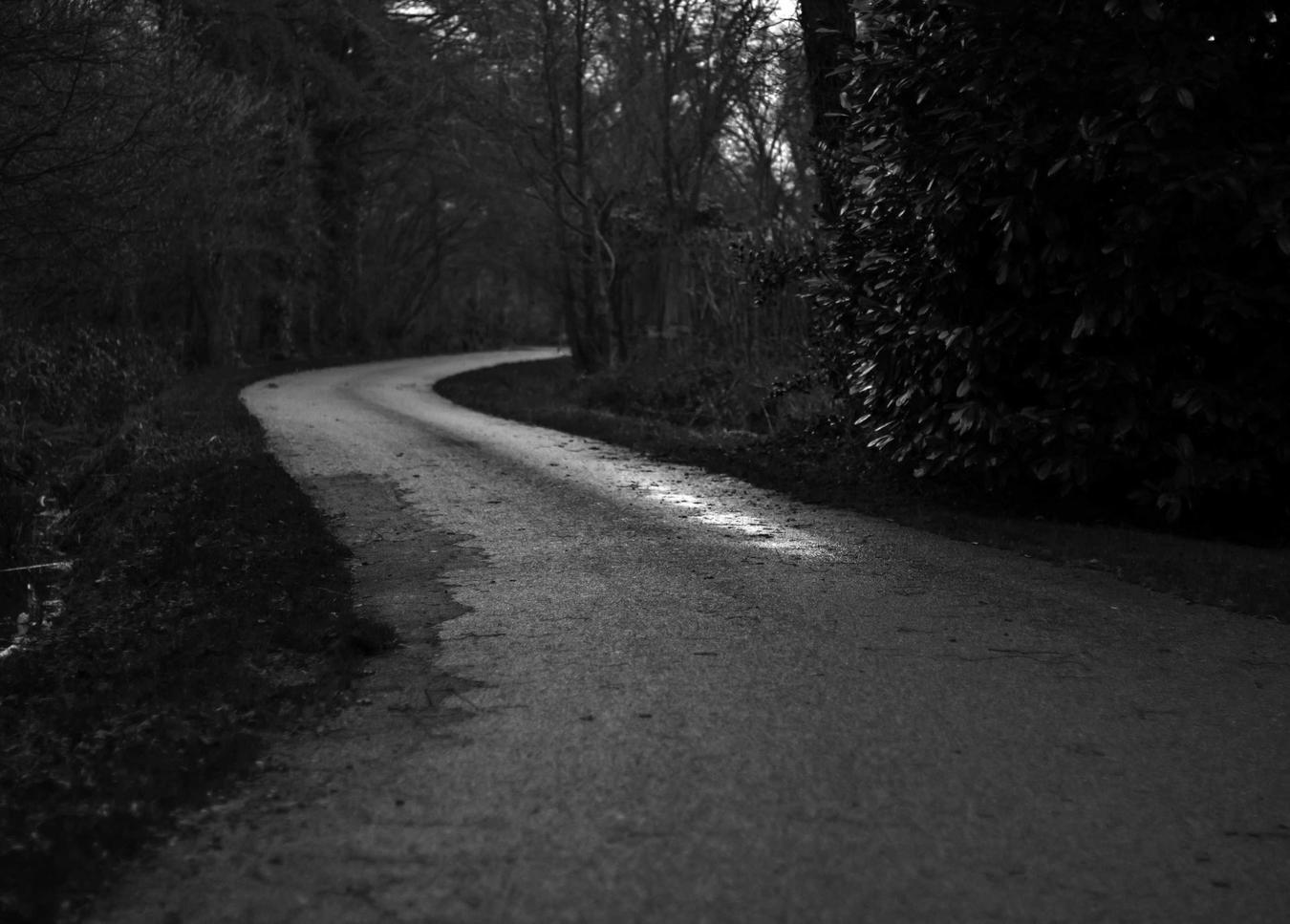 战国志：直播盒子代理平台