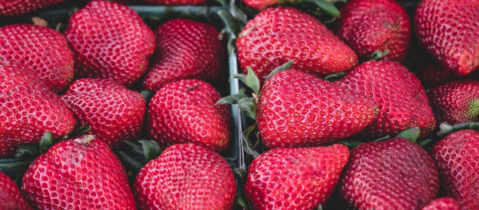 七星柔和9mg:飞扬时代怎么注册账号啊