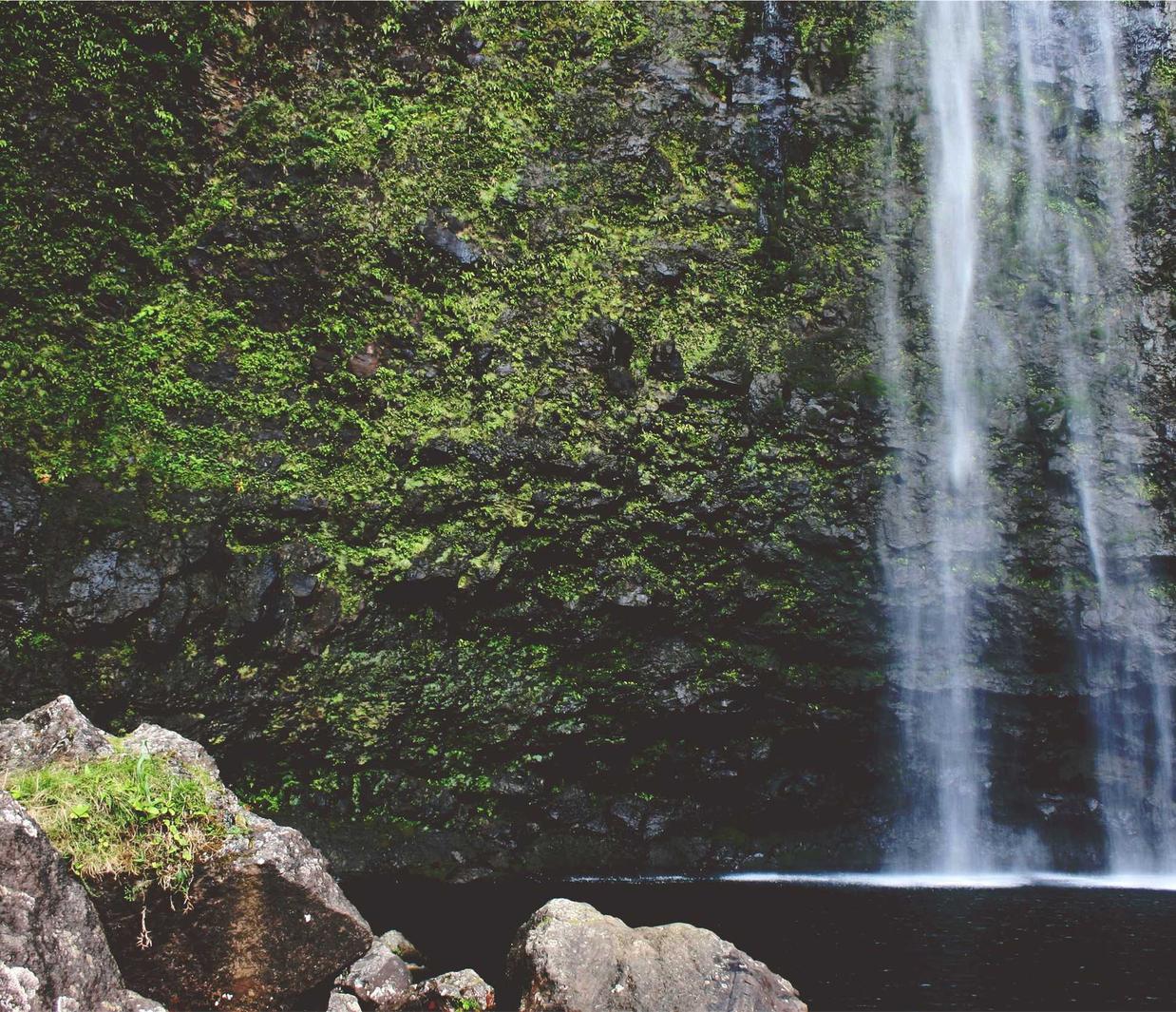 如何进行定向投放广告营销
