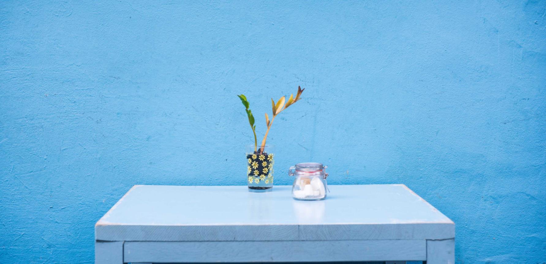 豆瓣实名账号：后宫王国详情下载教程App