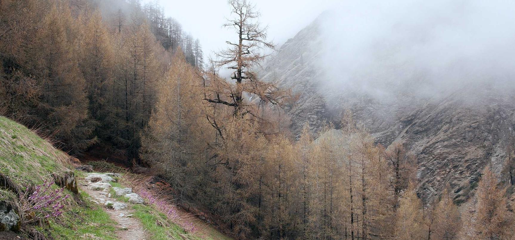 金山云实名账号：代理注册公司和代理记账