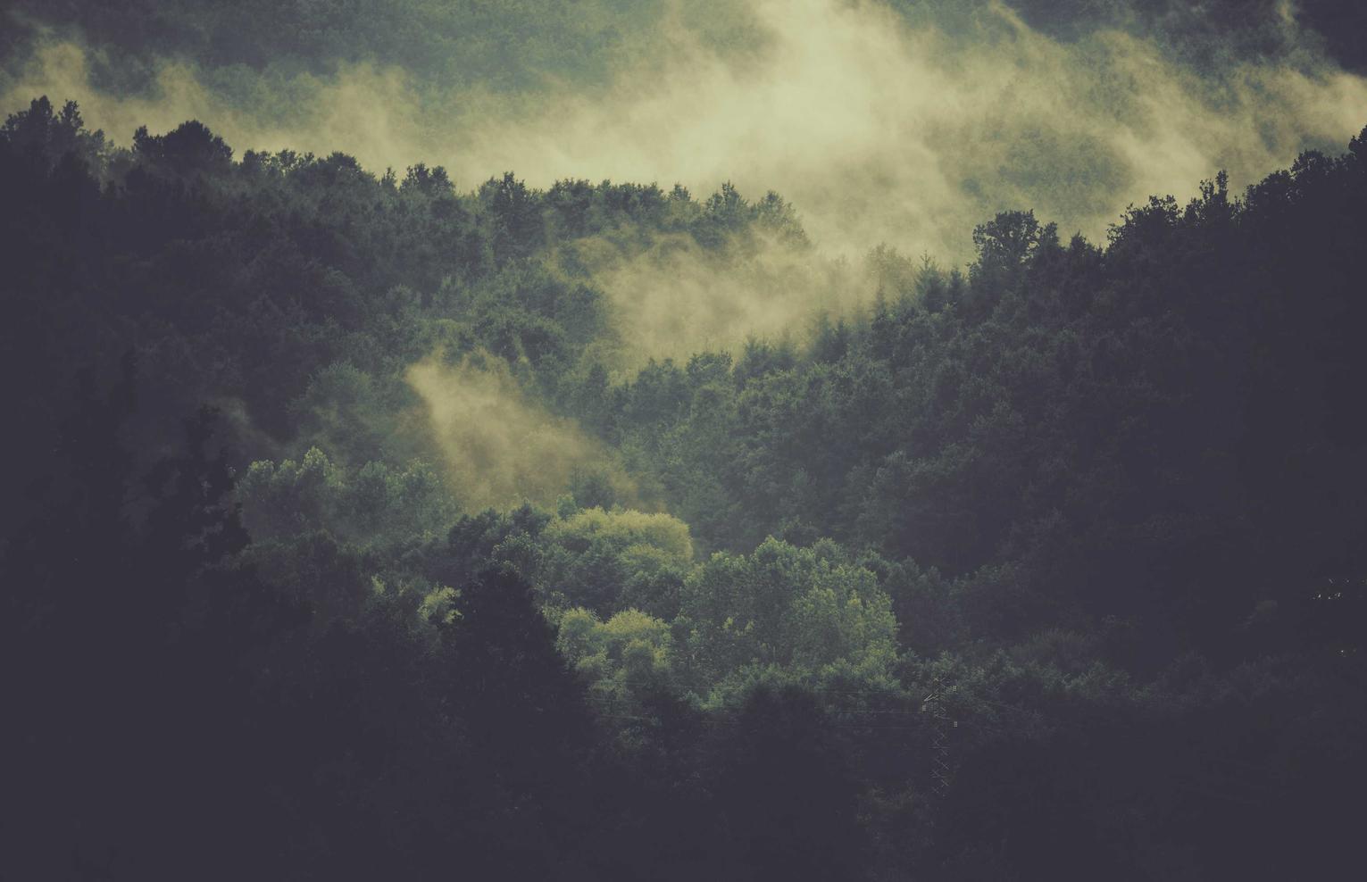 滨州工商注册代理