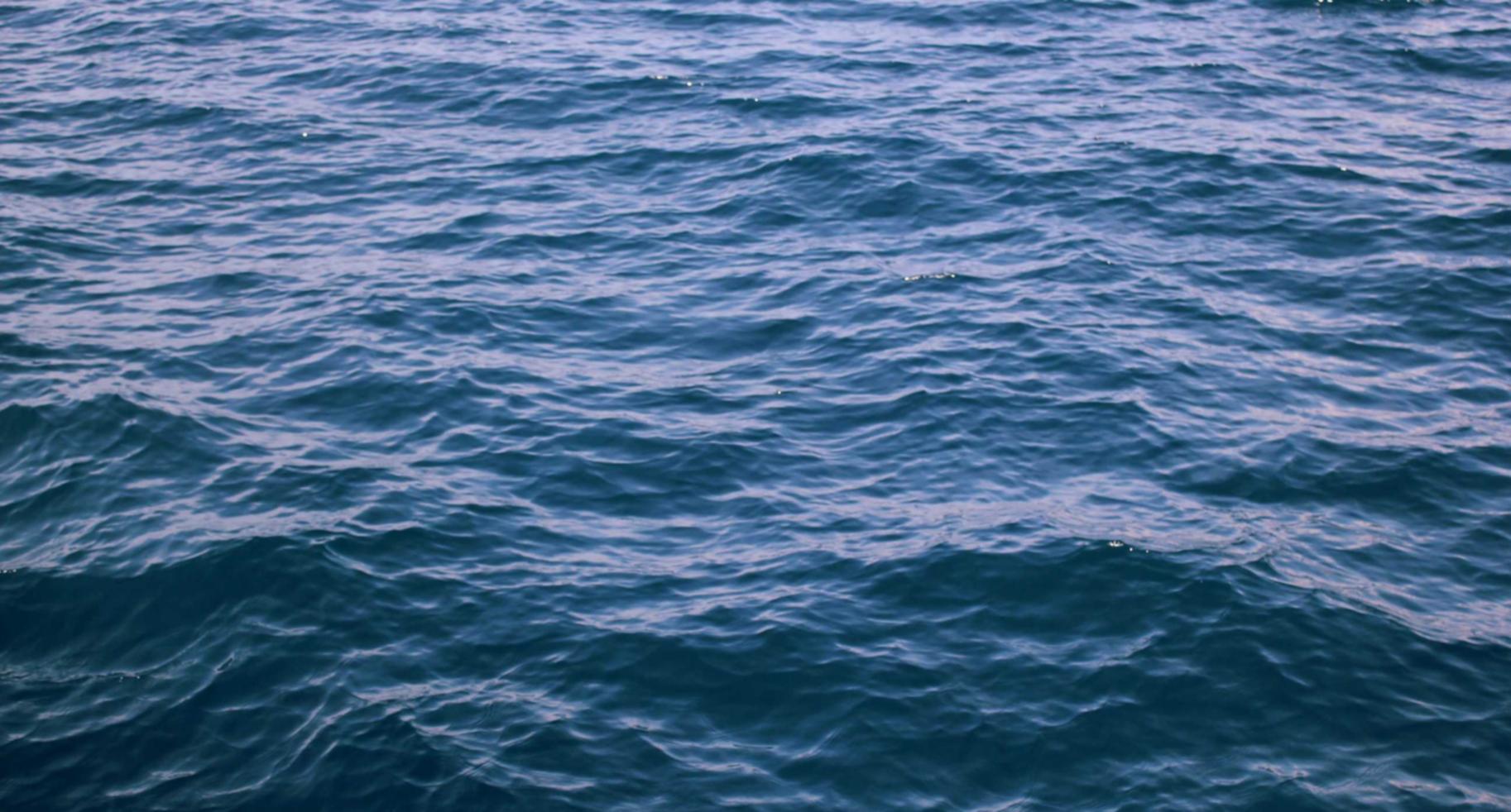 日税金鼎和平：秒分app详情下载教程