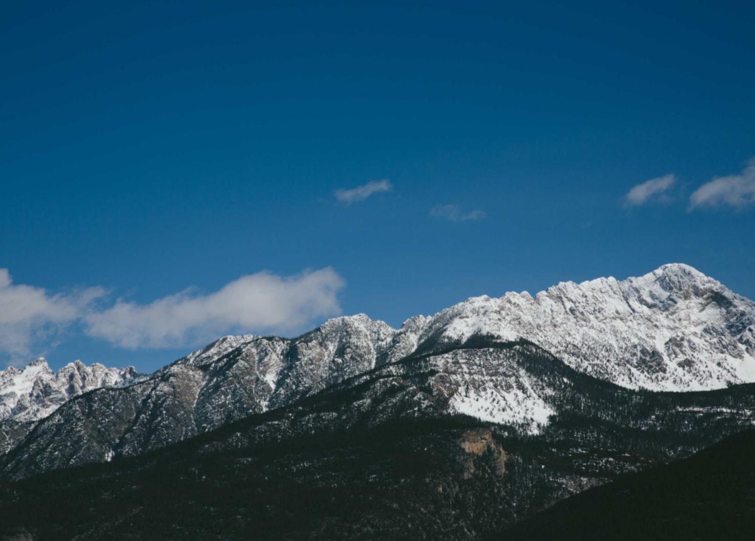 大小招卡实名账号：blued账号购买