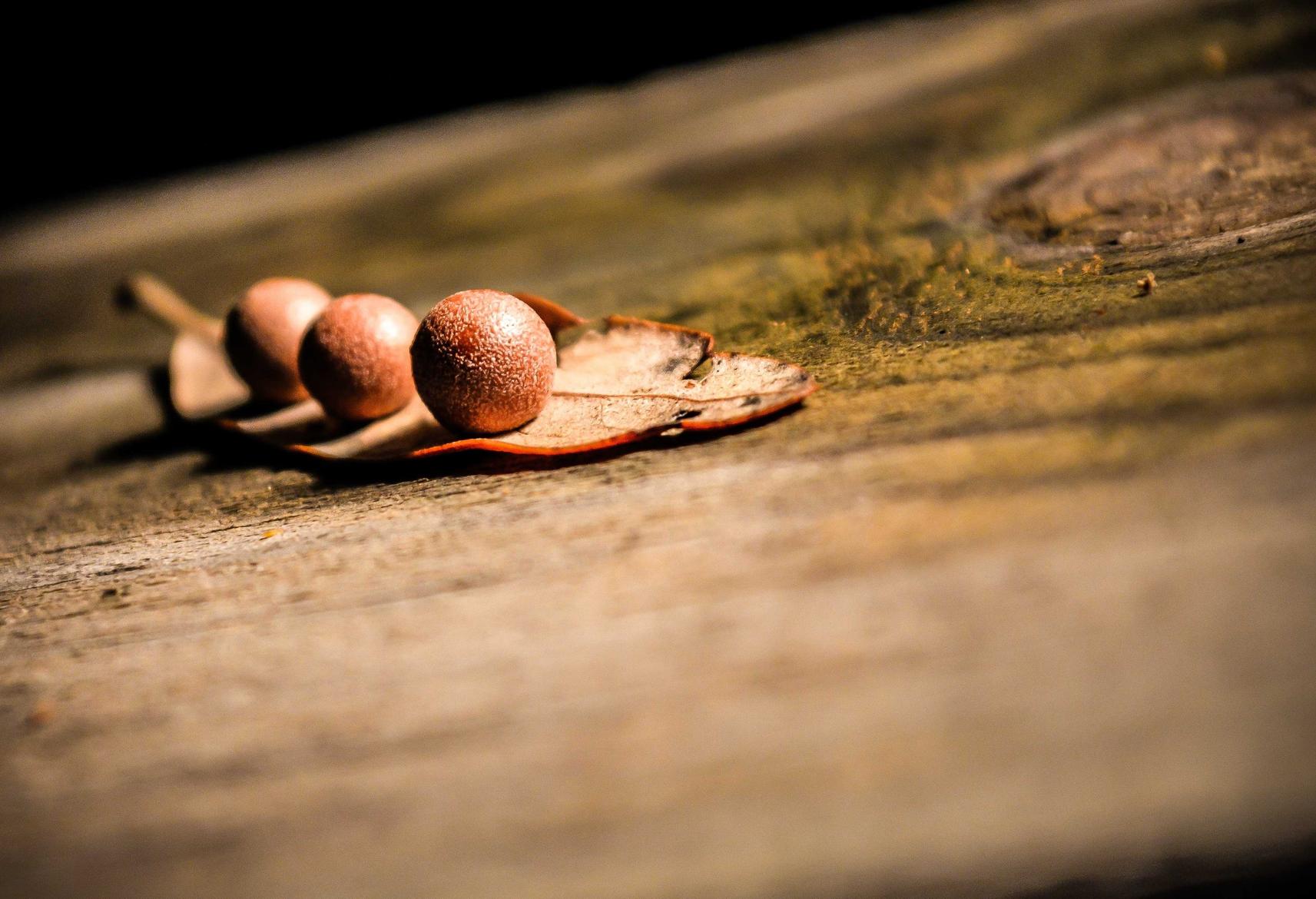 宝安正规代理注册公司名称