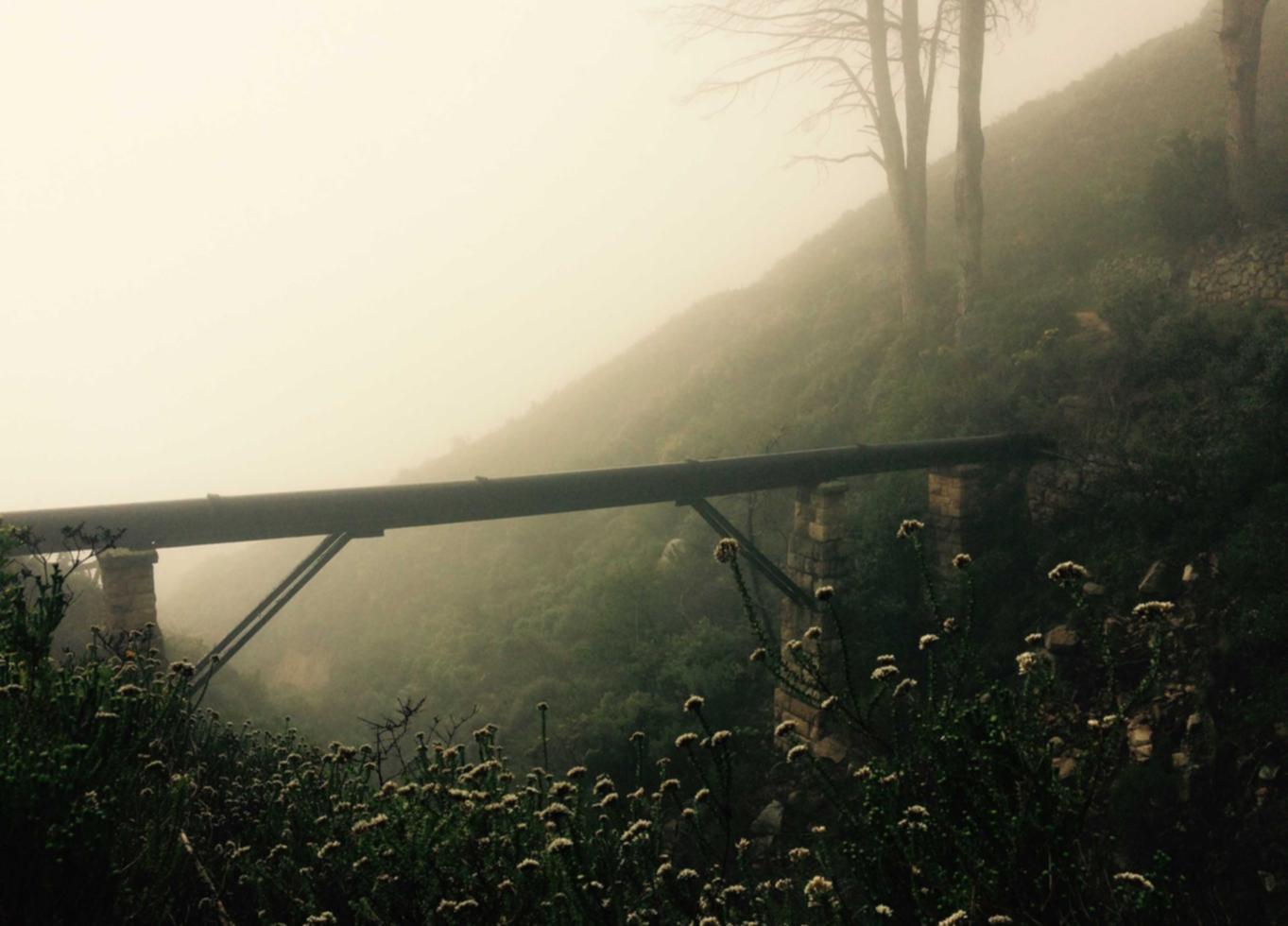 如何使用着陆页面来提高转化率