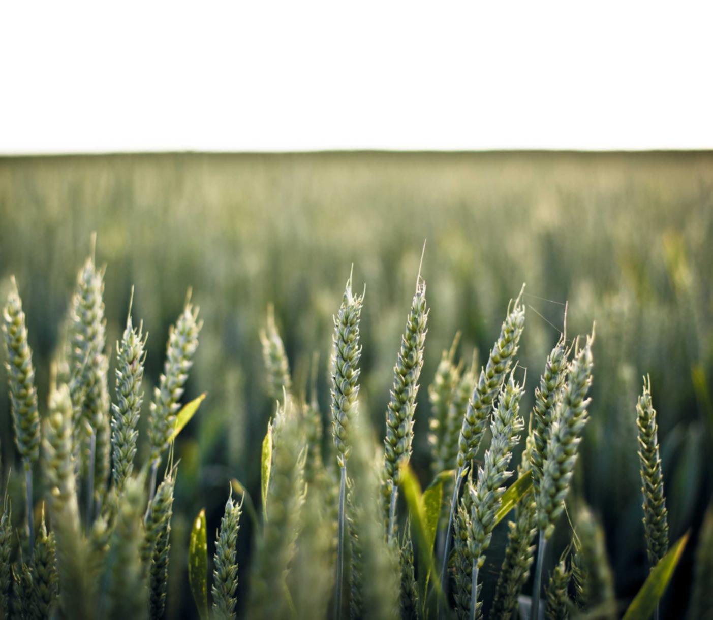 黄MU摇摇柠檬爆珠：神奇出行app详情下载教程