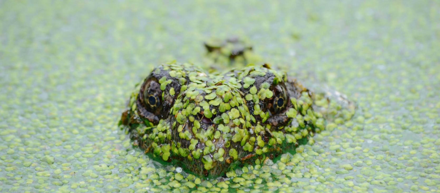 九州ip实名账号：短信语音营销：学会反击竞争对手 