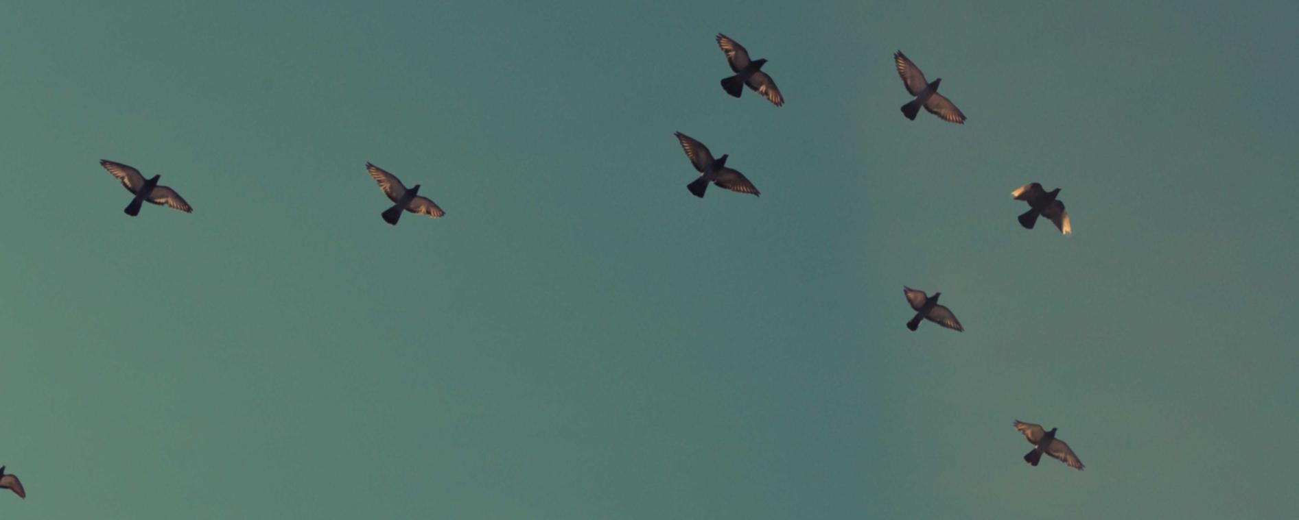 吸烟成瘾原因探讨