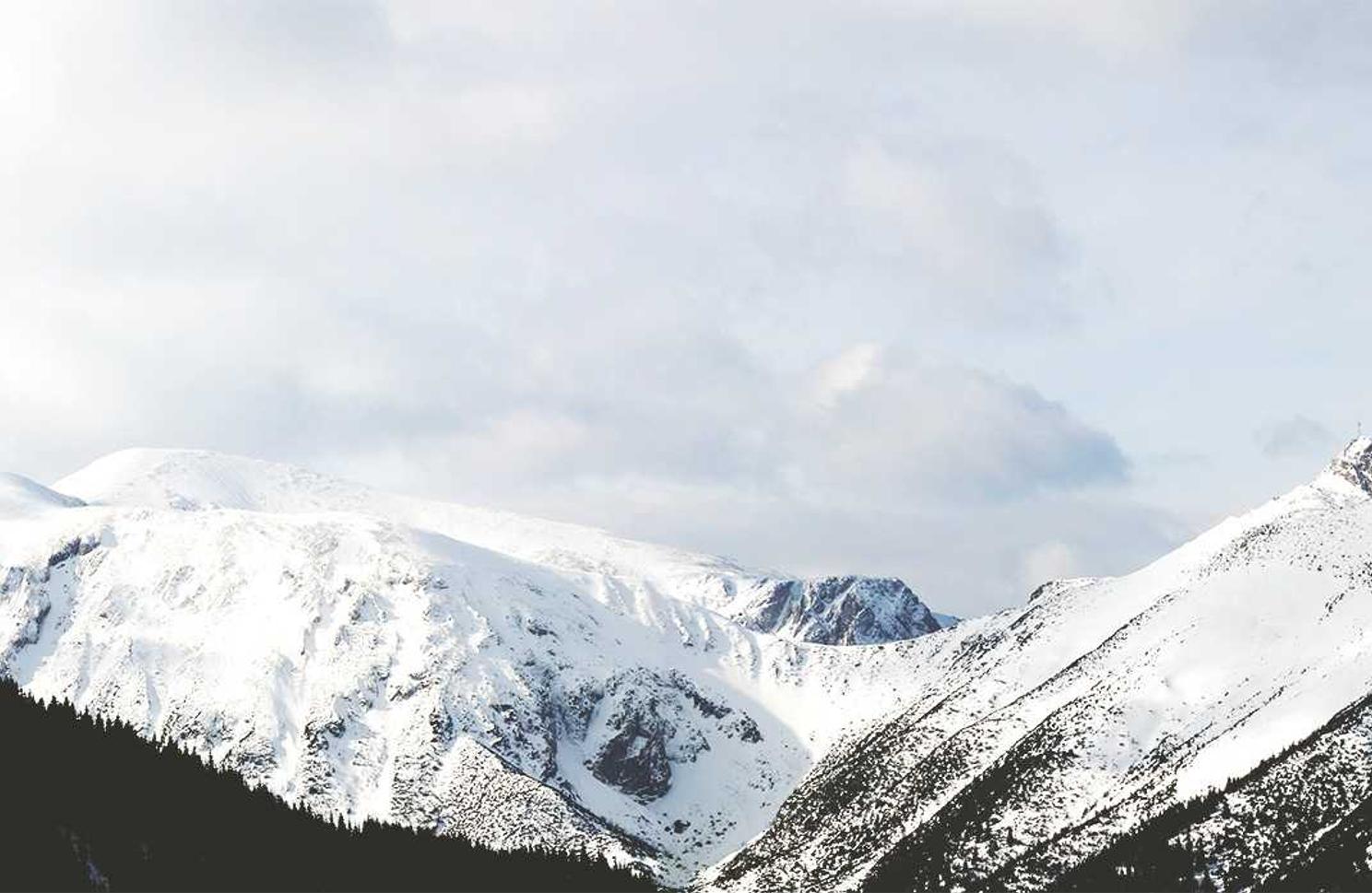 微信号白号批发：优学派app详情下载教程专区