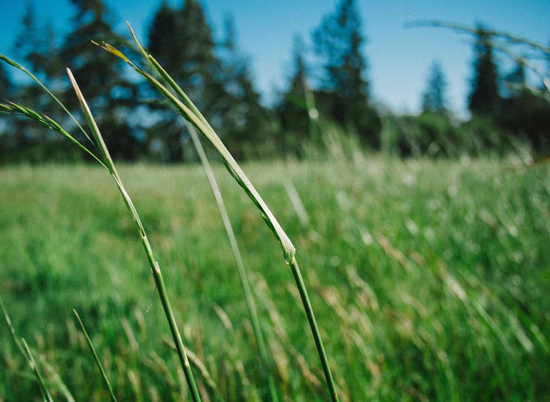 吸烟者的早期死亡率有多高？