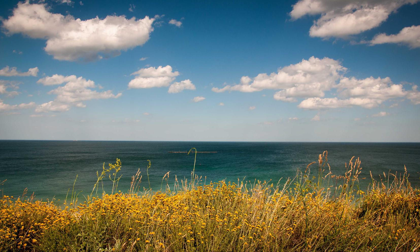 老人卡实名账号:软件app详情下载教程