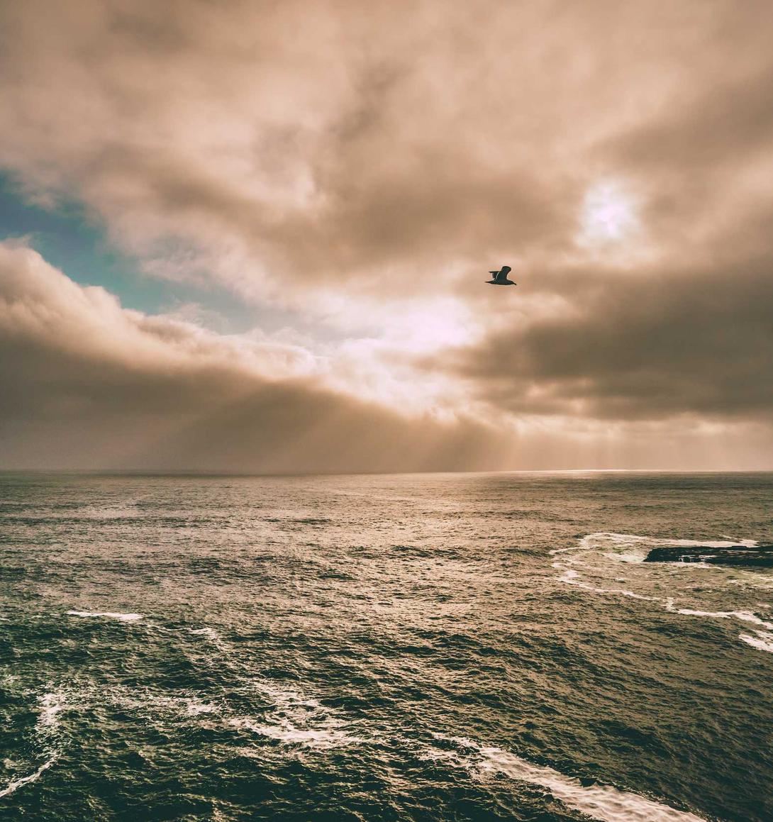 如何在SEO优化中利用数据掌握消费者习惯