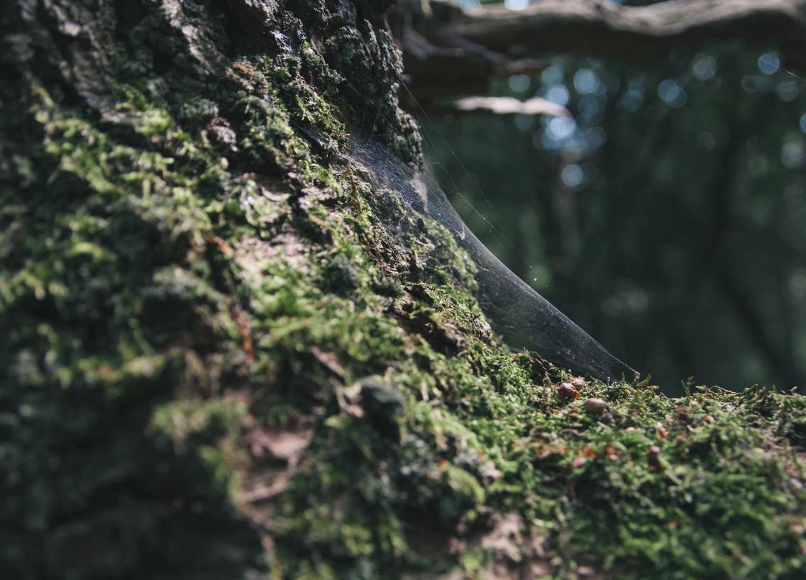 买卖微信号后：焙刻app详情下载教程