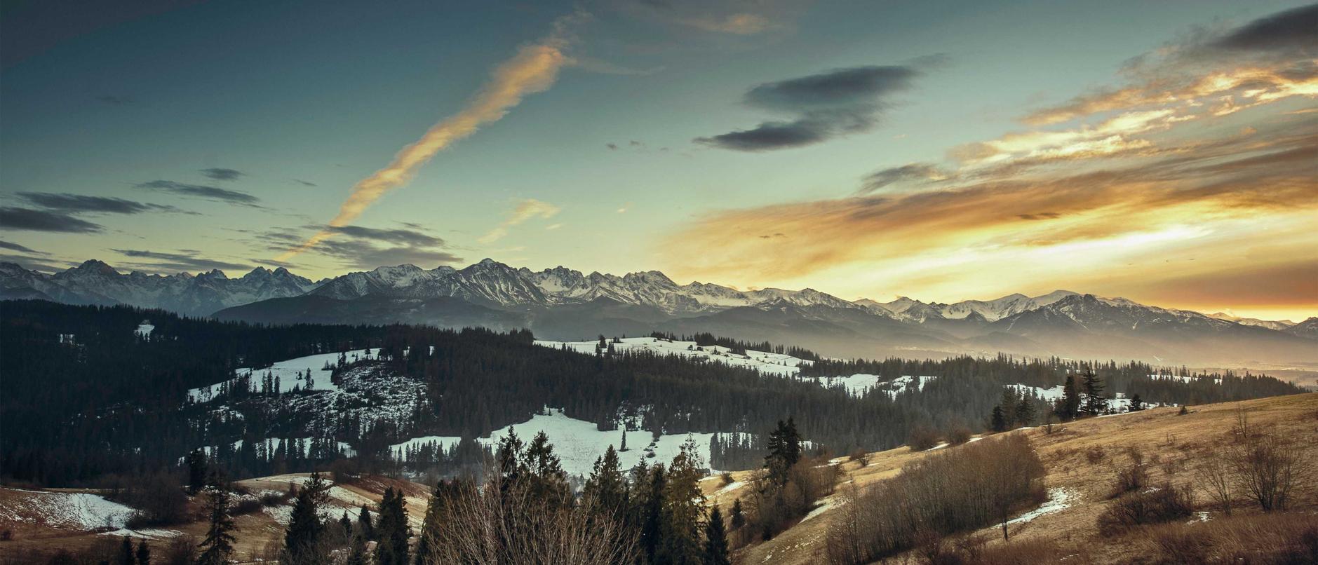 支付宝号买卖:短信的未来