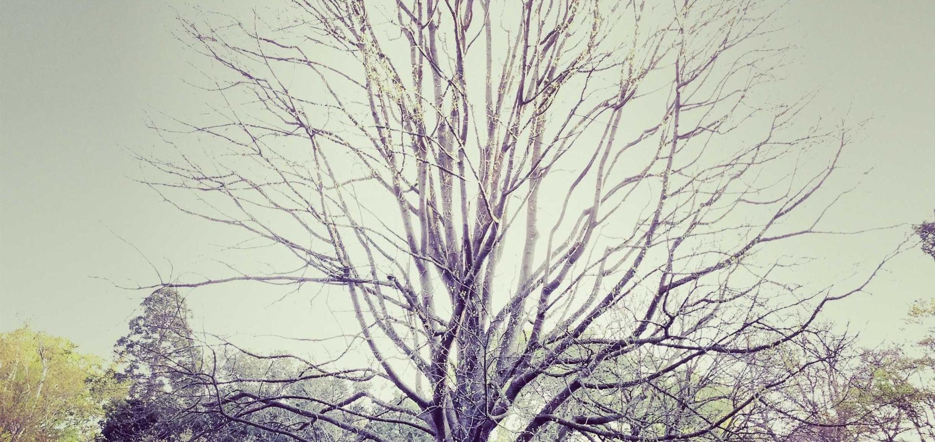 最终幻想14：漯河注册公司代理