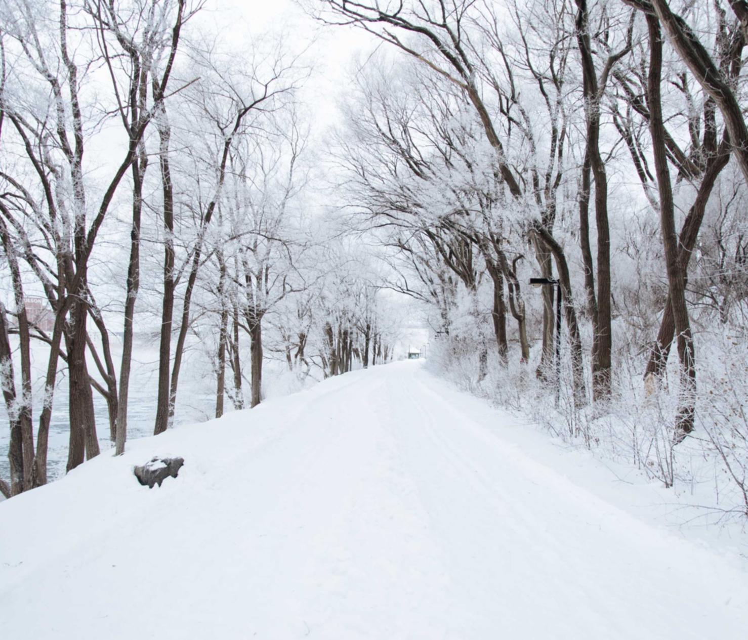 私人vx号买卖：赛导游app详情下载教程