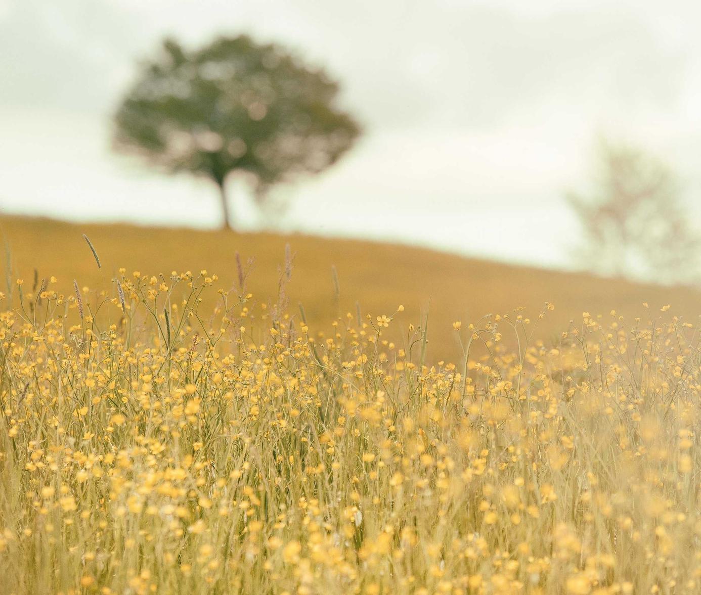 青年一派实名账号：实名制在学校和教育行业中的应用和问题