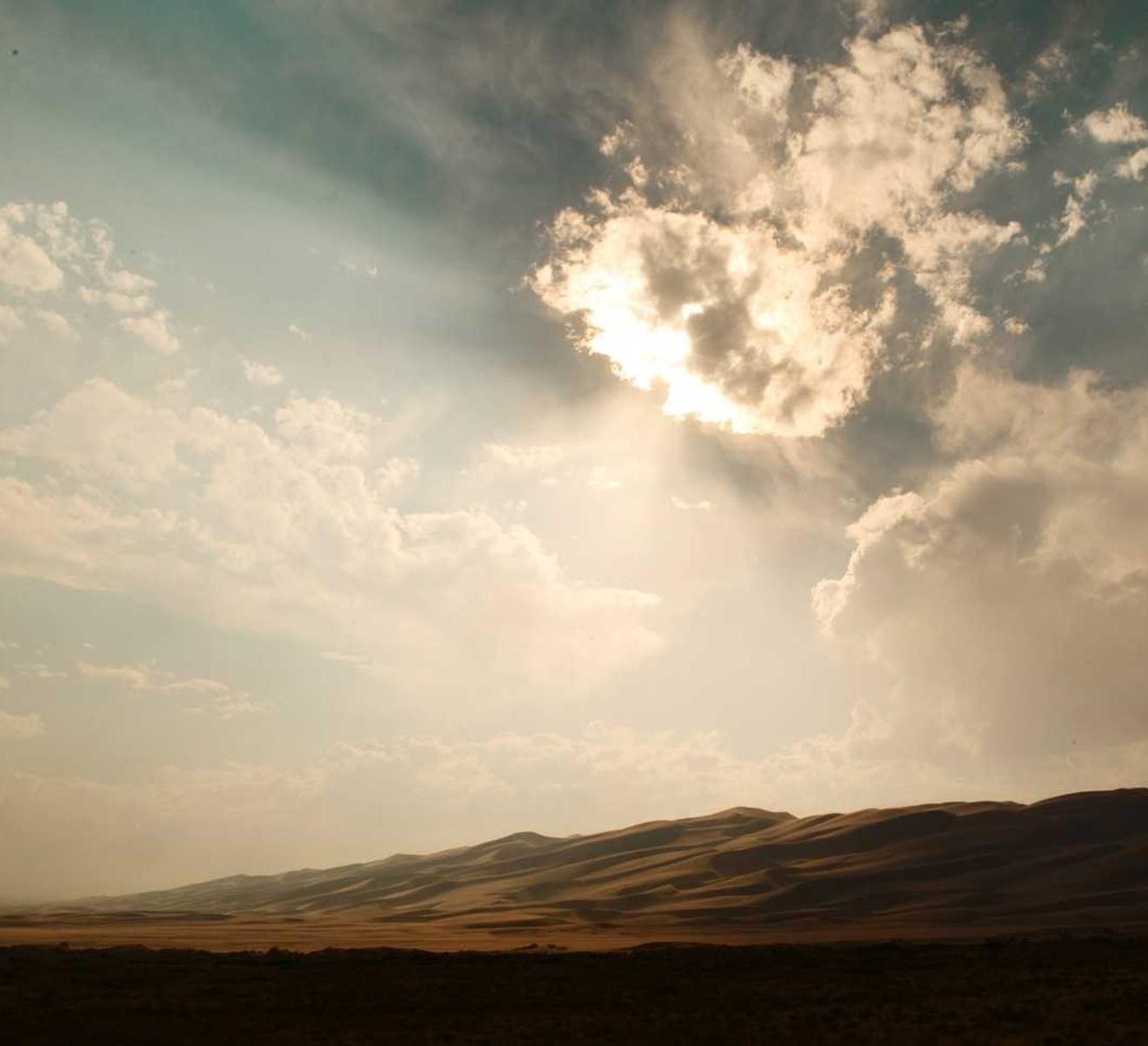 如何优化网页内容以适应搜索引擎