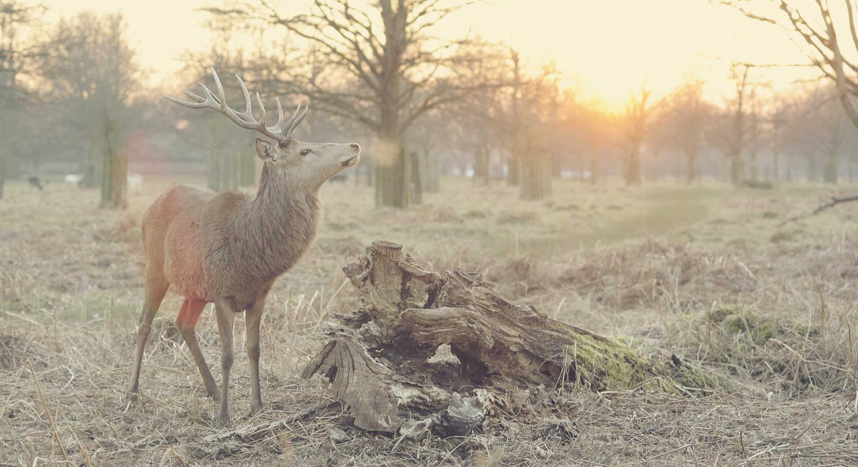 全新微信批发:实名制如何对于网络游戏和虚拟现实进行监管和管理