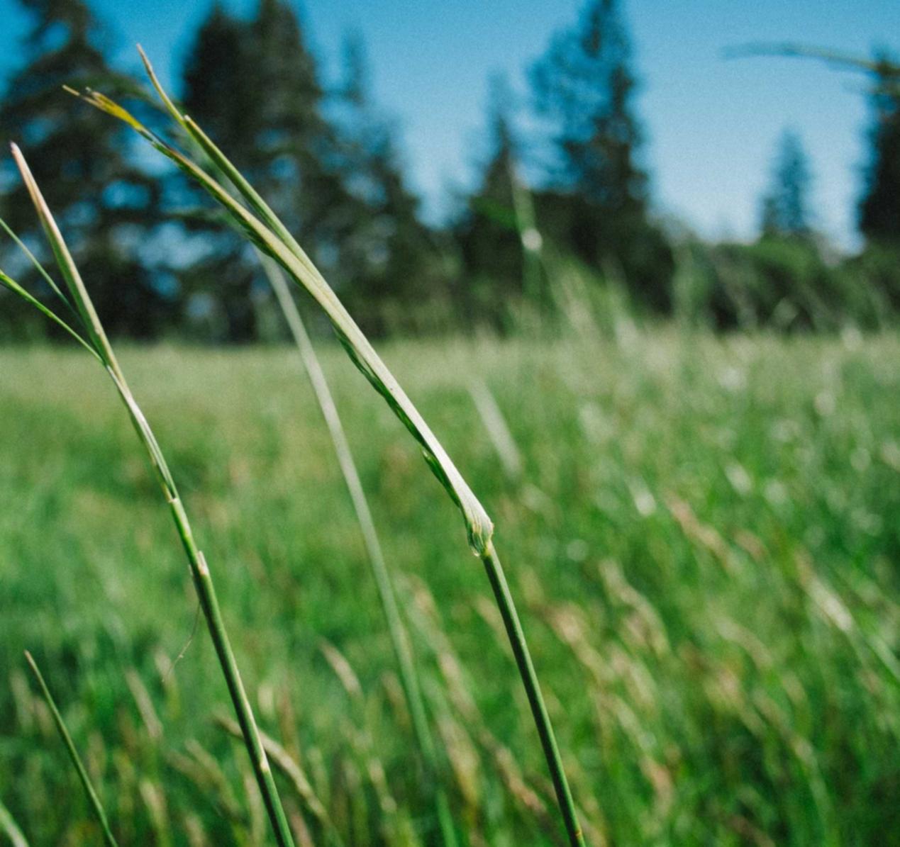 淘宝实名账号:乌鲁木齐个体注册代理