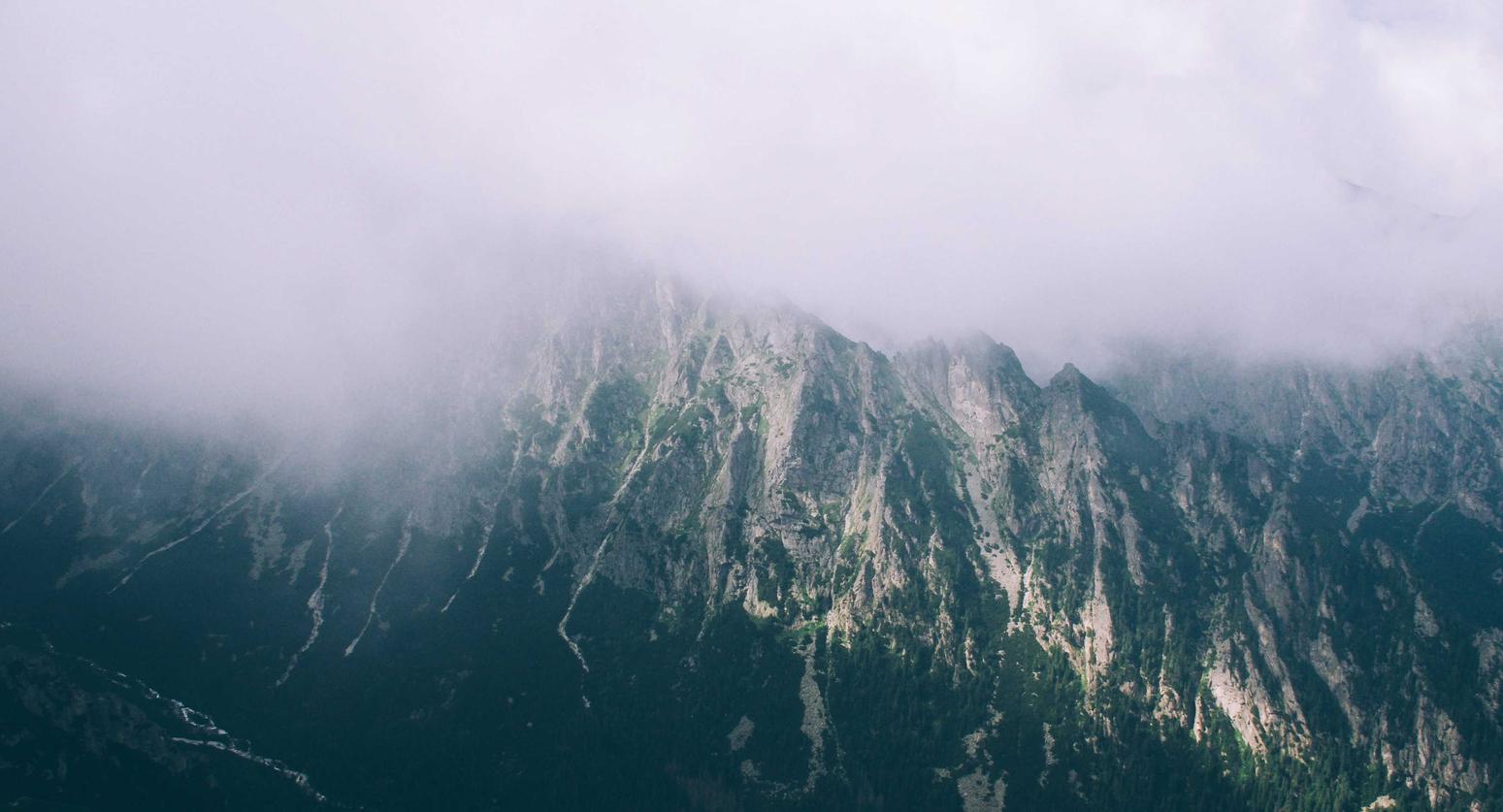 黄标七星:上海注册代理记账团队