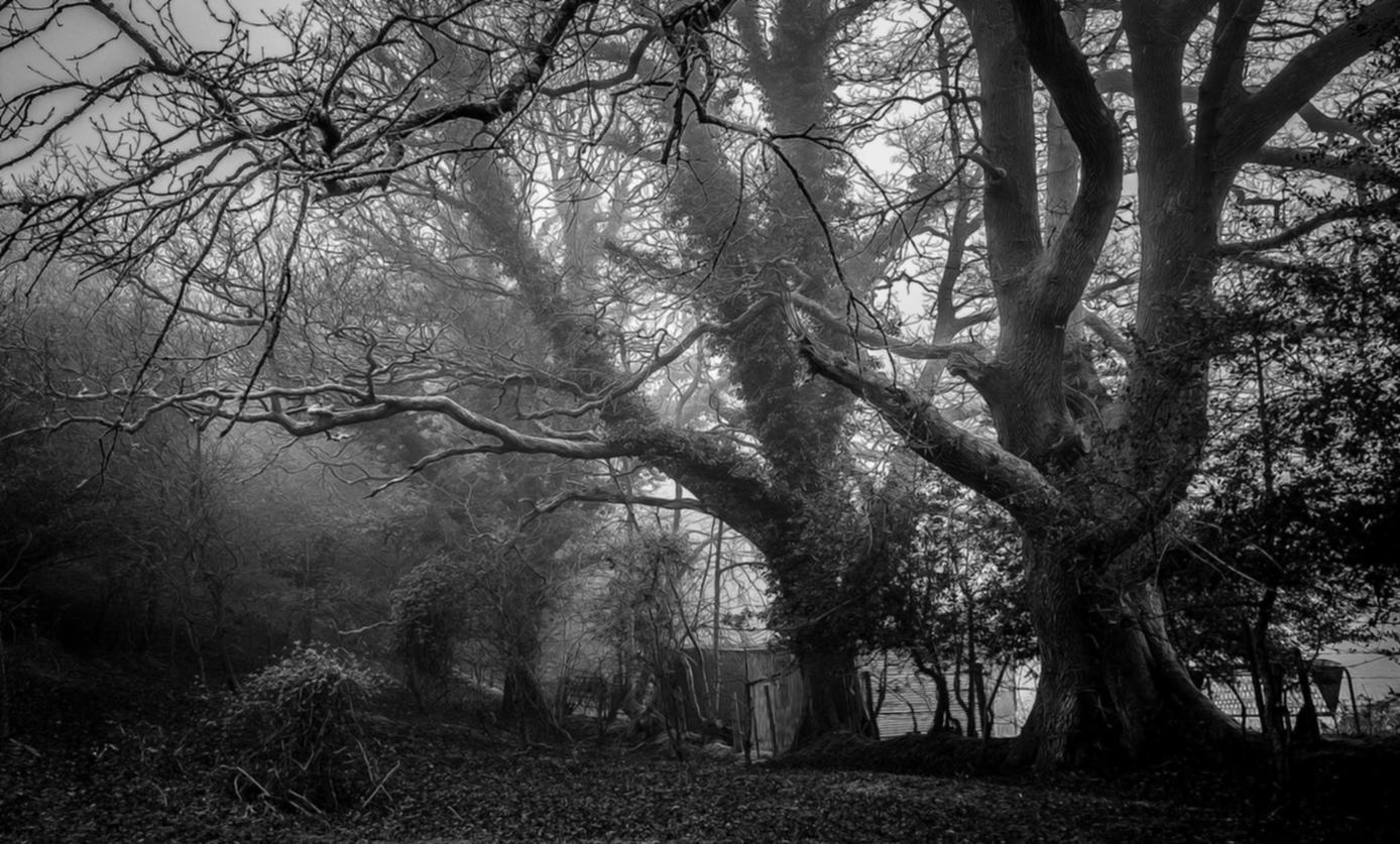 青云传：红桥工商代理注册电话