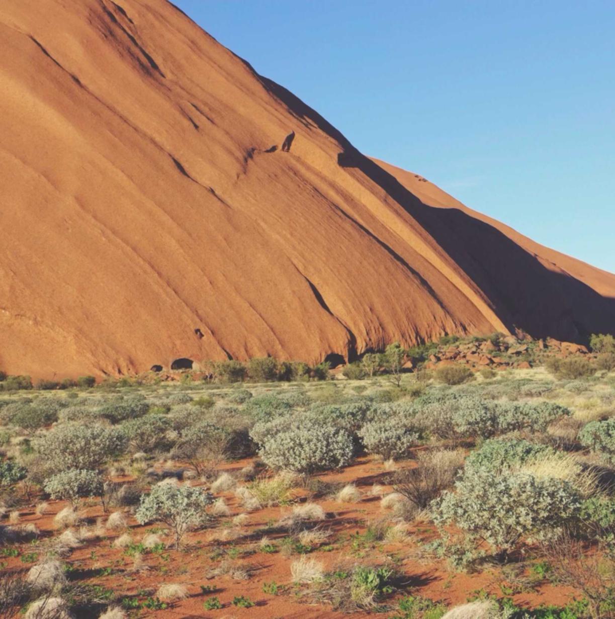 咸鱼实名账号:越南账号注册格式错误