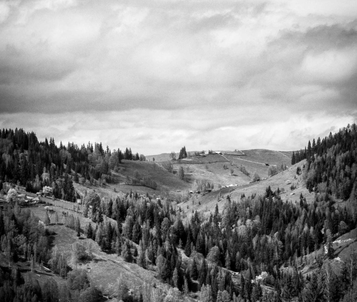 阿里山合作：三元桥注册代理