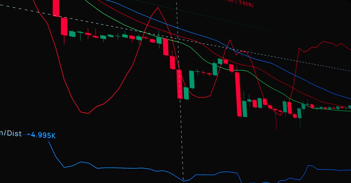 DogYun实名账号:记账公司代理记账平台
